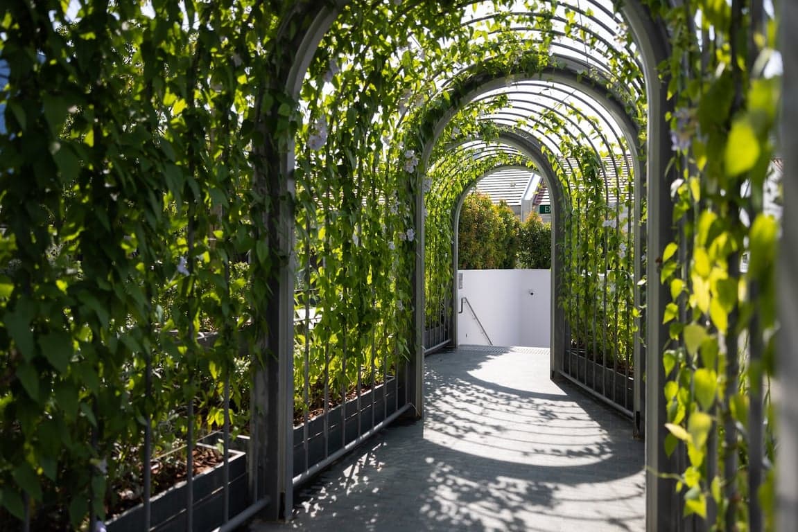 Mondrian Garden at Mondrian Singapore Duxton – Singapore wedding venue photo 1 of 2