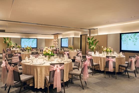 The Manor at Hilton Singapore Orchard – Singapore wedding venue photo 5 of 5