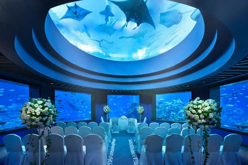 Ocean Dome at Equarius Hotel / Ocean Gallery – Singapore wedding venue photo 1 of 2